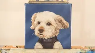 Painting a Dog with White Fur - Oil Painting Timelapse