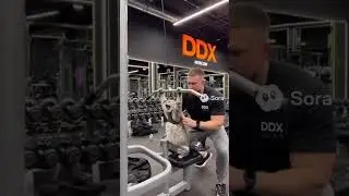 CAT WORKING OUT IN A GYM #gym #2025 #2026 #viral #trending #comedy #cute #cat