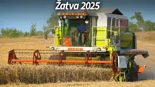 Žatva 2025 s nov&yacute;m Claasom MEGA Dominatorom 208 | Hruboňovo