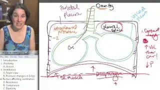 Popular Classic (Sp13)- Pressure changes in lungs