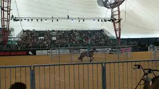 Equitana 2018 Adam Sutton
