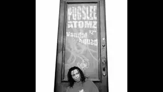 Pugslee Atomz - Spanish Brown