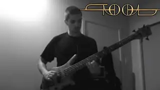 Tool - &ldquo;Schism&rdquo; (Bass Cover)