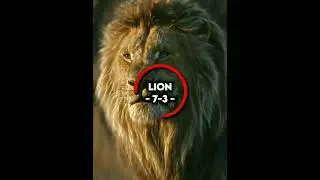 Lion VS Gorilla (Remake) edit🔥#shorts #lion #gorilla