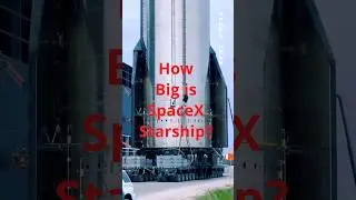 How big is #spacex #starship ? #spacenews