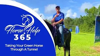 Tunnel On A Green Horse | Horse Help - Michael Gascon