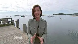 Lobster Tariff Trap