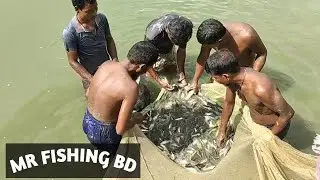 Net fishing technique in village Bd |   MR Fishing bd || 2021