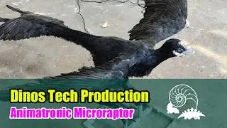 #Animatronics #Microraptor Model for Sale, Custom Small Dinosaur Robot for Natural Museum