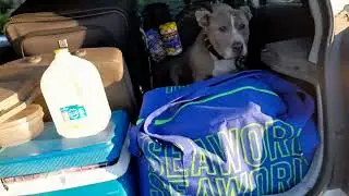 Chevy Spark road trip & room space review.