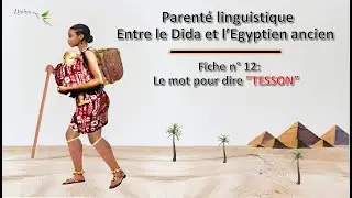 FICHE 12 TESSON