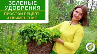 ЗЕЛЕНЫЕ УДОБРЕНИЯ - лучшая  подкормка для первой половины лета//рецепт приготовления