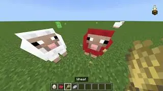 How to get infinite baby pink sheep in Minecraft - NO MODS!