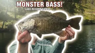 Best Bass Lake In Eastern Washington? #bassfishing