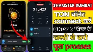 hamster kombat ton wallet kaise connect kare||connect your ton wallet hamster kombat||hamster kombat