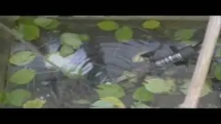 En Planeta Caracol