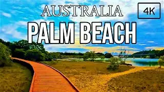 4K | Gold Coast | Beree-Badalla Reserve | Parklands | Birdlife | Beach | Beautiful Queensland