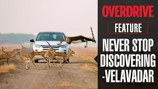 Never Stop Discovering: Velavadar Blackbuck National Park in the Discovery Sport | OVERDRIVE