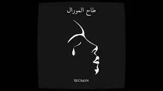 SEGMAN - TA7 LMORAL [SLOWED] طاح المورال | بطيئة
