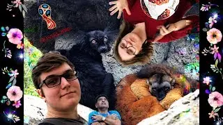 ДРУГИЕ БЕРЕГА / ЛУЧШИЙ СТАДИОН ДЛЯ ЧМ-2018 / ЦЕЛЫЙ ОСТРОВ ЛЕМУРОВ / ВЕДУЩИЙ МОПС
