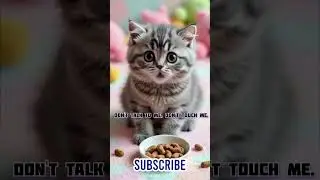 IT FELL I