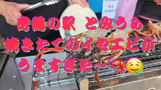 【千葉県南房総市】焼きたてのイセエビ うますぎた〜🤤 #グルメ #japanesefood #japan
