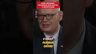 Кульпа: НАБУ должно раскрыть все карты о коррупци в Украине