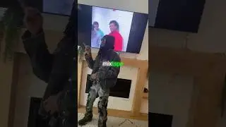 Hott Headzz воссоздал фристайл HMM 👀🔥