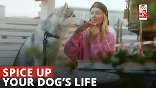 How To Spice Up Your Dog&rsquo;s Life- Herbs & Spices To Include (& What To Avoid) In Your Dog&rsquo;s Meal Plan