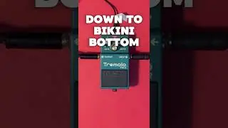 Boss TR-2 Tremolo Deep