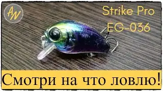 Мал да удал! Обзор Strike Pro EG 036F