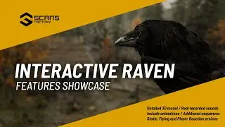 Raven - Features Showcase