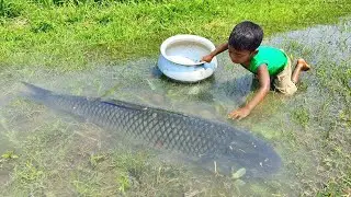 Survival Skills: SMART idea and USEFUL in Forest #bushcraft #camping #outdoors #animals