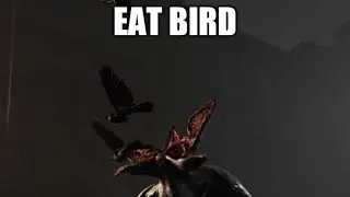 DBD: Demo goes where demo pleases