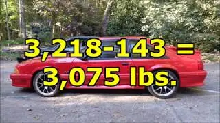 ThoroughbRED Part 2: WEIGHT REDUCTION
