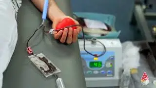 Why We Give - Ringling College of Art and Design