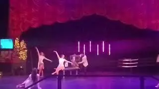 Holiday magic show Busch Gardens Tampa Bay FL 2026