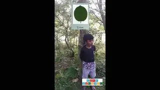 What is an Entire, Serrate and Lobed Leaf ? 5 years old explains