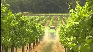Cultivar a Segurança