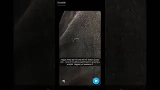 Lil Mdot (814) replies back to Digga D (CGM)