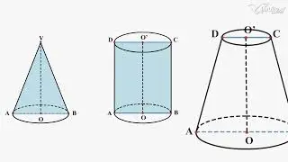 Secțiune diagonală, secțiune axială. Matematică - Manual pentru clasa a VIII-a 2025