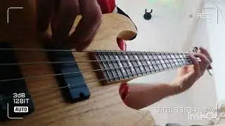 schecter bass guitar Chaos salad #schecter #bassguitar