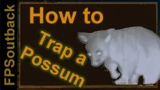 Possum Trapping