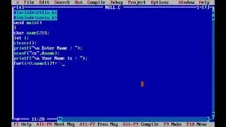 NULL (\0) in C/C++.