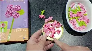 Coin Rollover 🌸 Building Blocks Flower Part 4 🌸 Australian Money Saving Challenge