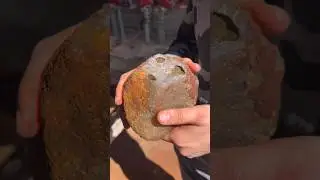 You won&rsquo;t believe what we found inside this agate 🤩 #shorts