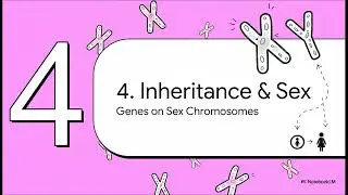 Sex determination