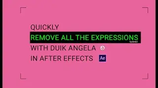 Remove All Expressions In After Effects Updated With Duik Angela