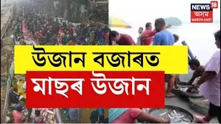 LIVE | ডাঙৰ মাছ কিনিবলৈ উজানবজাৰত গ্ৰাহকৰ ভিৰ। Uzan Bazarত গুৱাহাটীৰ আটাইতকৈ ডাঙৰ মাছ।