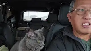 Driving to downtown Toronto on a snowy day 